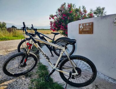 bike friendly il fratino e la cicala 03