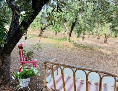 colazione il fratino e la cicala 06