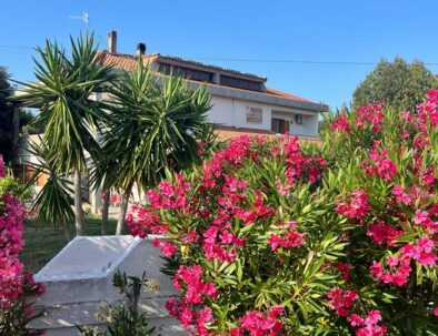 giardino il fratino e la cicala 11